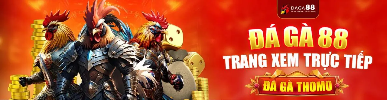 Sân đấu đá gà trực tuyến sôi động tại 6FF Link Mới