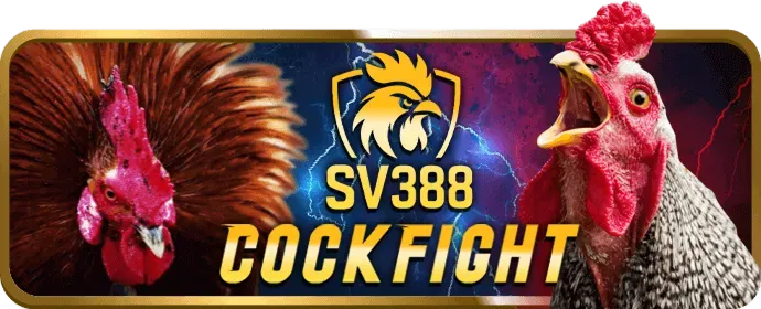 Quản lý vốn trong sòng bạc
